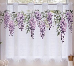 zazdrostka wisteria.jpeg