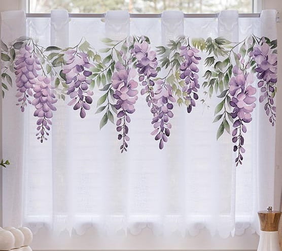 zazdrostka wisteria.jpeg
